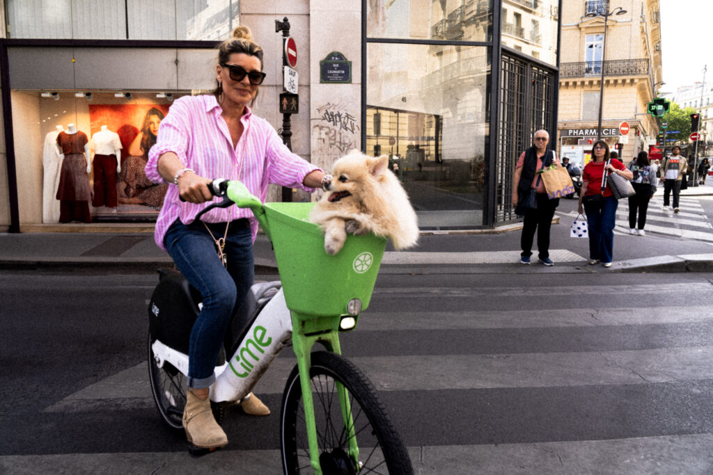 Cyrille Ardaud street photography photographie rue chien dans velib vélo dog france